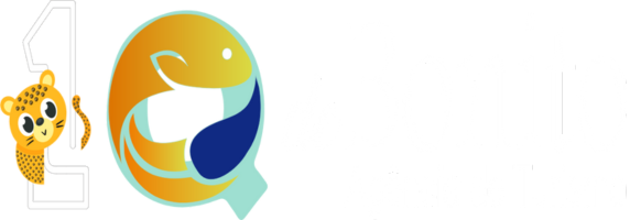 Logo 1Q de Bonito