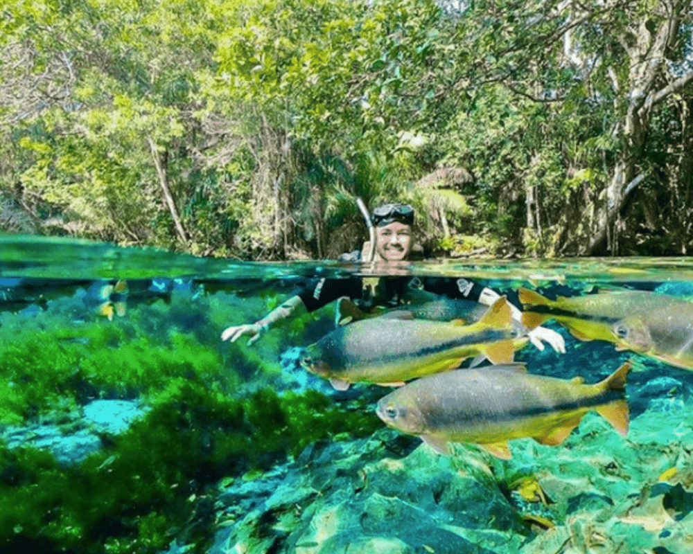 Aquário Natural Sucuri - Flutuação Em Bonito Ms - 1Q de Bonito