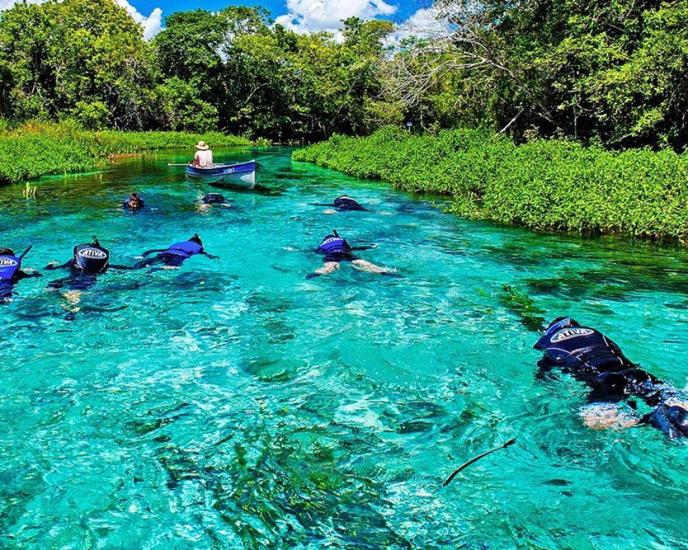 Flutuação Nascente Rio Sucuri -Flutuação Em Bonito Ms - 1Q de Bonito