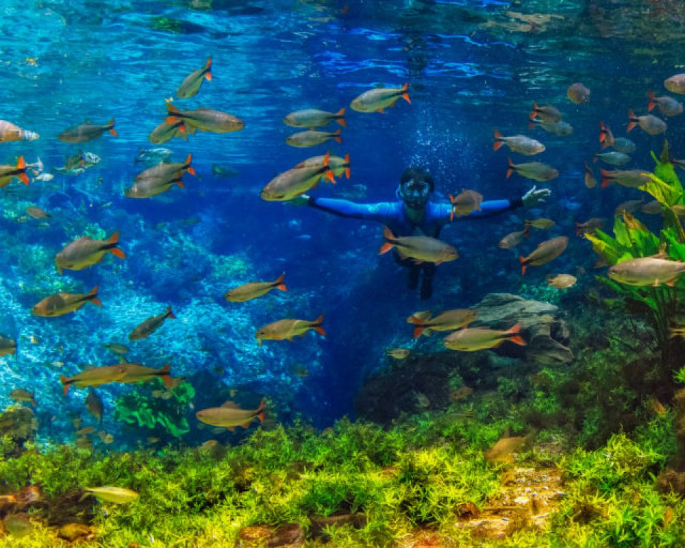 Nascente Azul - Flutuação Em Bonito Ms - 1Q de Bonito